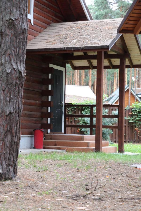 Dacha 6 Villa Voropayev Dış mekan fotoğraf